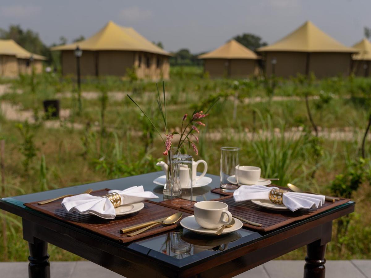 Aalia Jungle Retreat & - Claridges Collection