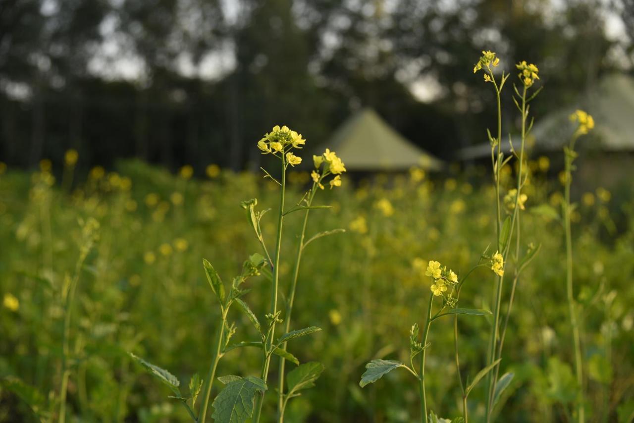 Aalia Jungle Retreat & - Claridges Collection Dehradun