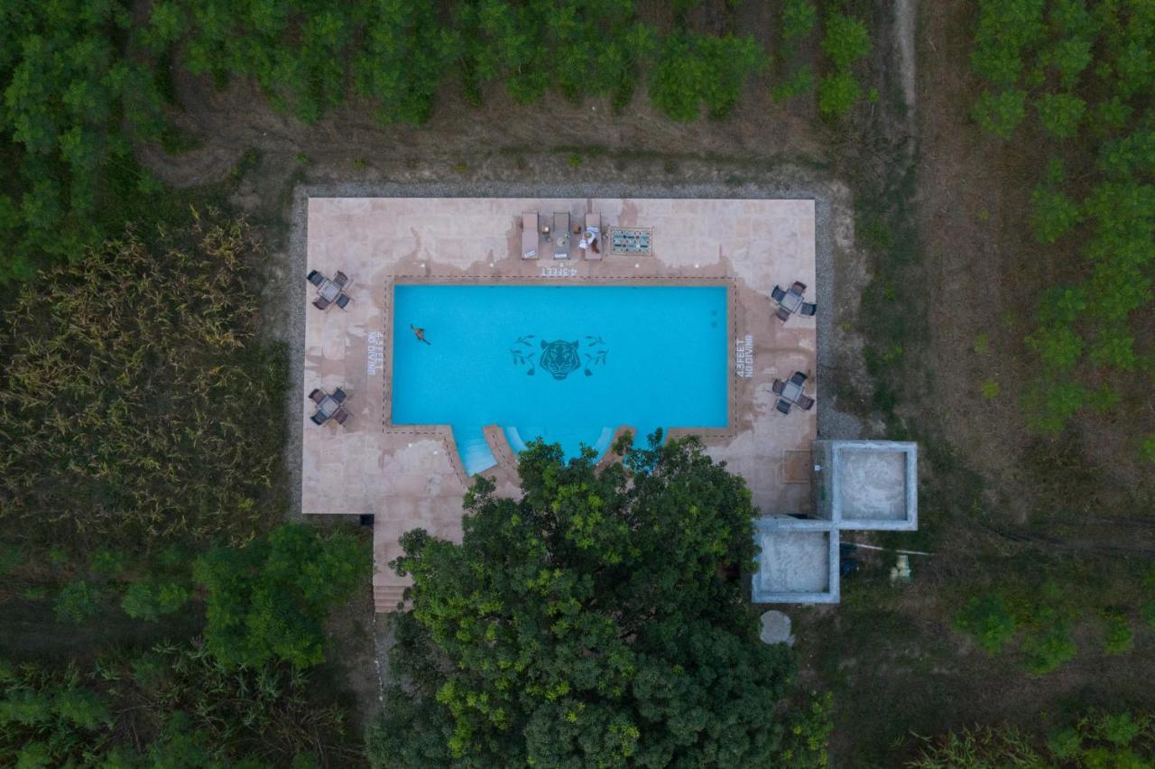Aalia Jungle Retreat & - Claridges Collection