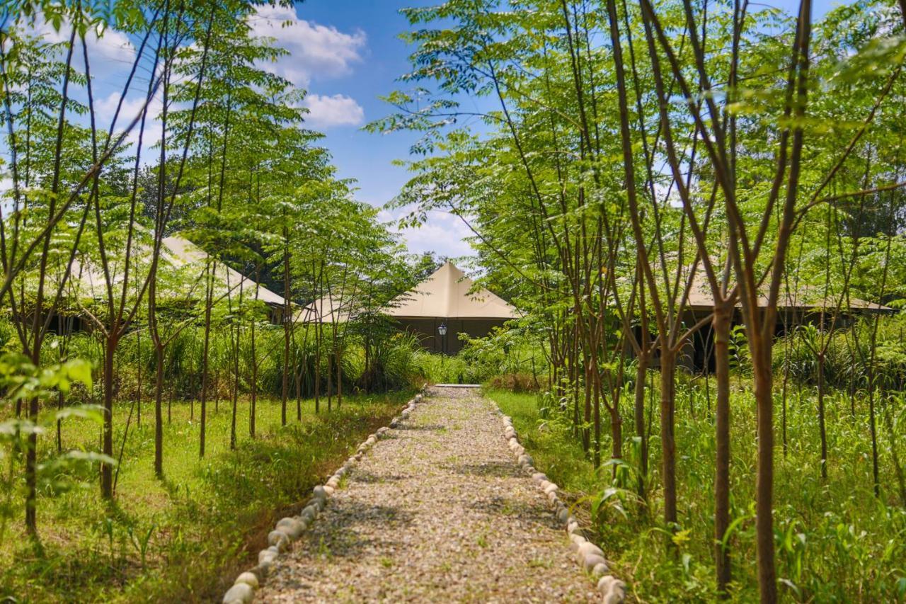 Aalia Jungle Retreat & - Claridges Collection