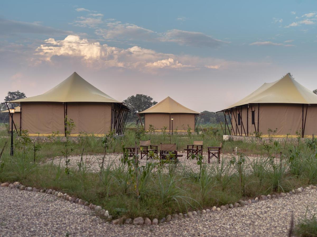 Luxury tent Aalia Jungle Retreat & - Claridges Collection 4*