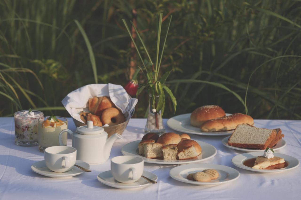 Luxury tent Aalia Jungle Retreat & - Claridges Collection