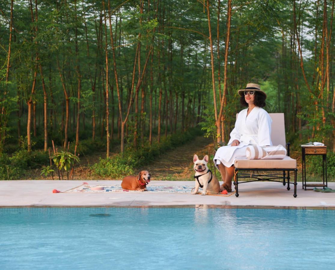 Aalia Jungle Retreat & - Claridges Collection 4*