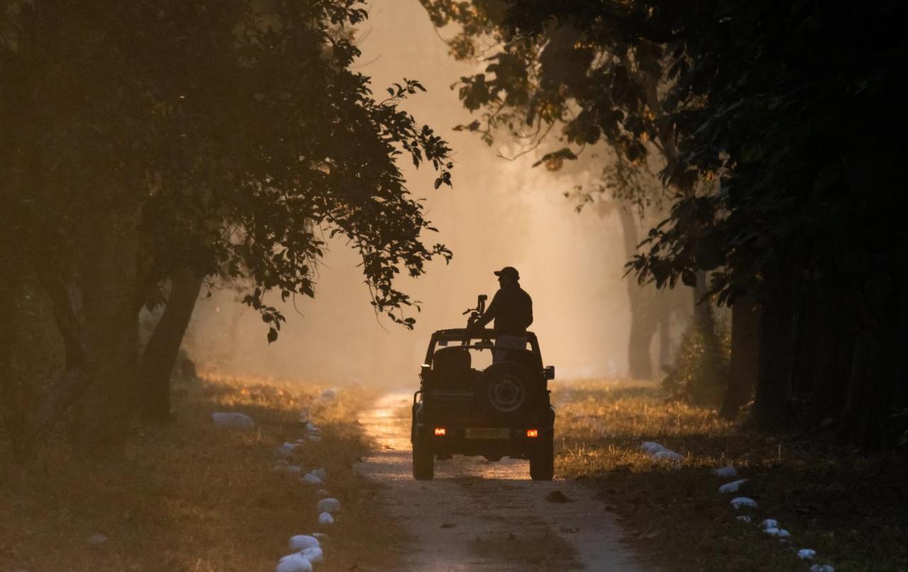 Aalia Jungle Retreat & - Claridges Collection 4*