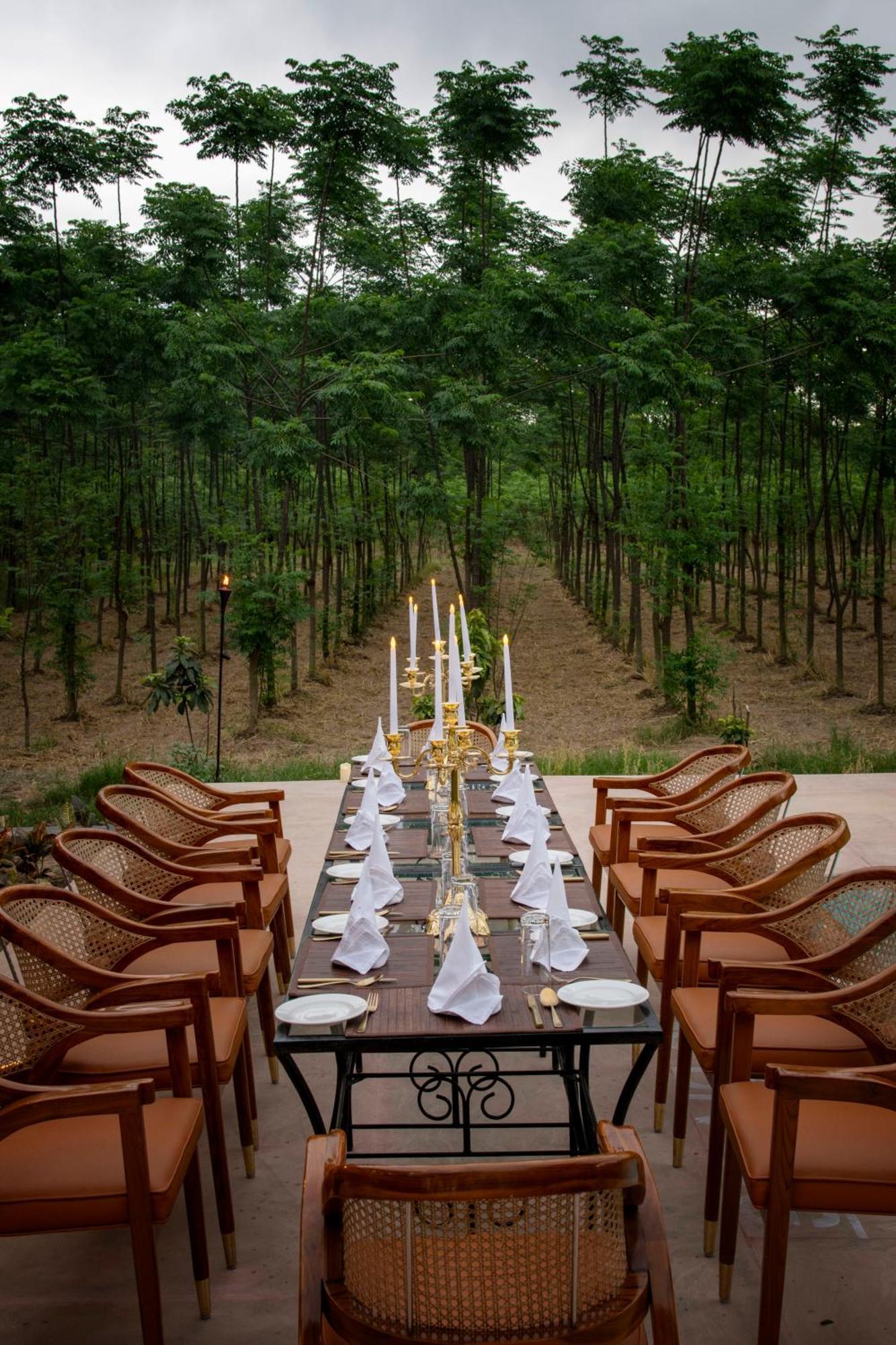 Aalia Jungle Retreat & - Claridges Collection